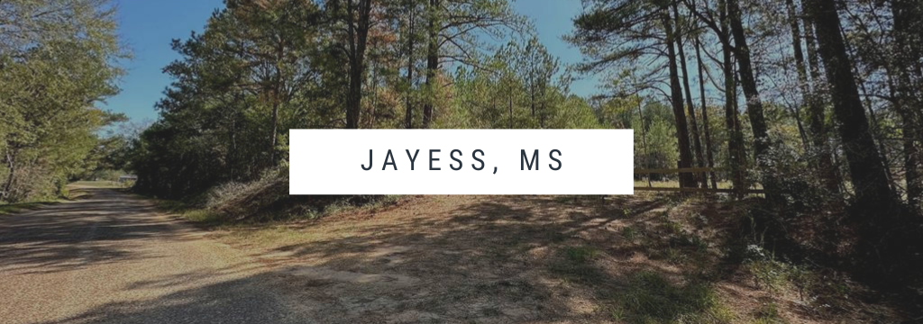 Real-Estate-Appraisal-in-Jayess-MS