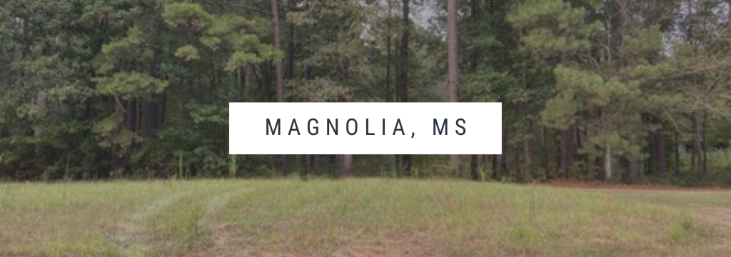 Real-Estate-Appraisal-in-Magnolia-MS